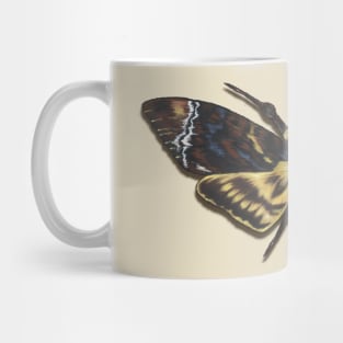 Death's Head Moth Mug